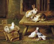 unknow artist Two Rabbits and three pigeons 069 Spain oil painting artist